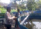 Tinjau-Upaya-Warga-Budidaya-Perikanan,-Bhabinkamtibmas-Berharap-Ketahanan-Pangan-Optimal