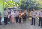 Kapolres-Jombang-Serahkan-Sapi-Kurban-dari-Kapolda-Jatim-untuk-Dua-Ponpes