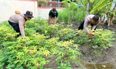 Kapolsek-Krembung-Cek-Pekarangan-Pangan-Bergizi-Desa-Kandangan
