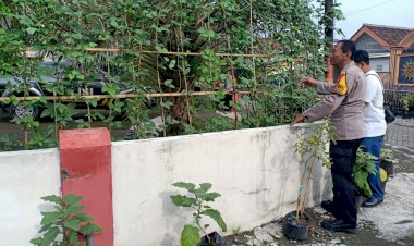 Bhabinkamtibmas-Desa-Kenongo-Ajak-Warga-Dukung-Program-Ketahanan-Pangan-Melalui-Pemanfaatan-Pekarangan-Sayuran