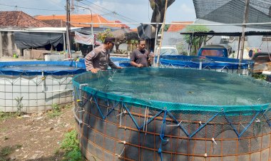 Bhabinkamtibmas-Ketimang-Wonoayu-Cek-Budidaya-Ikan-Lele-Dukung-Ketahanan-Pangan