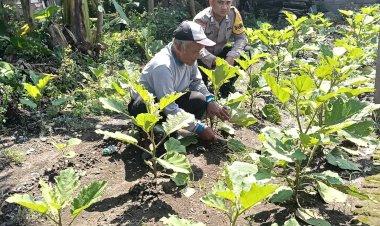 Bhabinkamtibmas-Desa-Jemirahan-Koordinasi-dengan-Petani-Dukung-Ketahanan-Pangan-Nasional