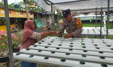 Polsek-Taman-Tinjau-Sayuran-Hidroponik-Warga-Untuk-Ketahanan-Pangan
