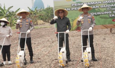 Dukung-Swasembada-Pangan,-Polresta-Sidoarjo-Tanam-Jagung-Kuartal-IV