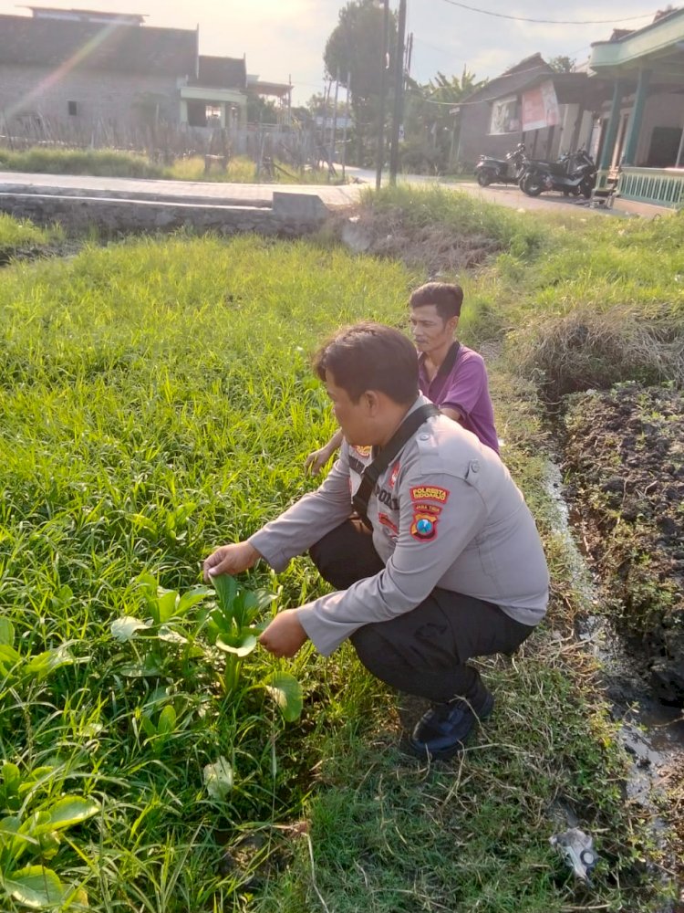 Kanit Binmas Polsek Prambon Silaturahmi dengan Penggerak Ketahanan Pangan di Desa Pejangkungan