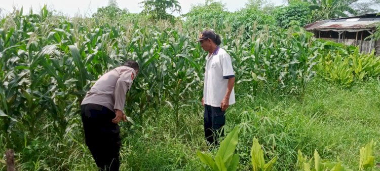 Kapolsek Tarik Masifkan Program Sambang Desa Dukung Ketahanan Pangan Nasional