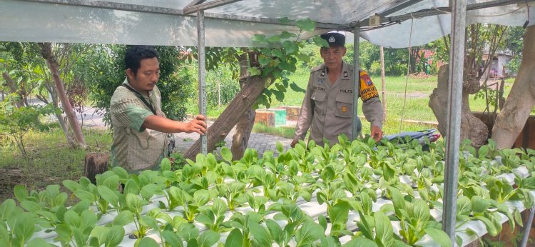 Polisi Dukung Ibu PKK Gerakkan Program Ketahanan Pangan Lewat Tanaman Hidroponik