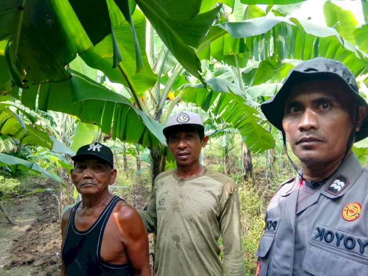 Kapolsek Balongbendo Masifkan Peran Bhabinkamtibmas Dukung Ketahanan Pangan Lewat Program Asta Cita Presiden RI
