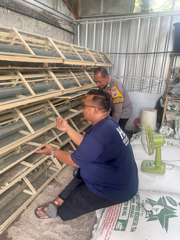 Bhabinkamtibmas Kedungrejo Dukung Ketahanan Pangan Lewat Ternak Burung Puyuh