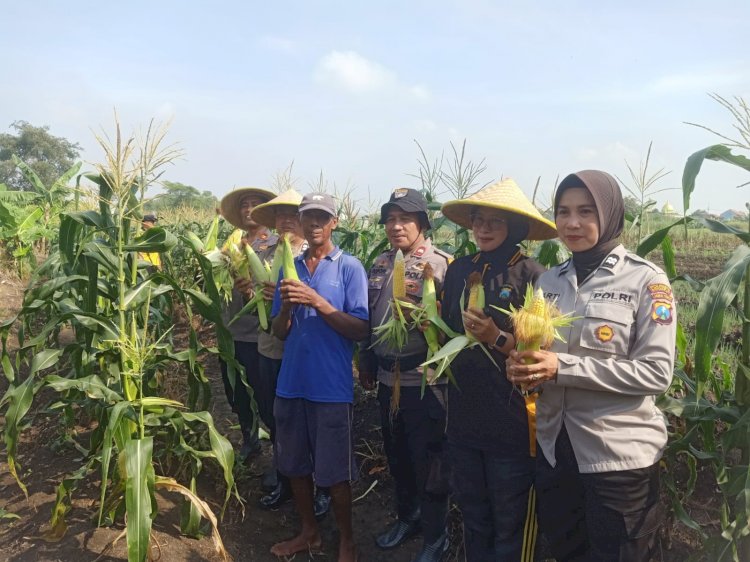 Polsek Krian Apresiasi Program Ketahanan Pangan Pertanian Jagung