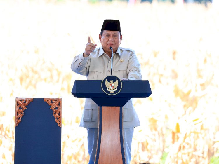 Presiden Apresiasi Peran Polri dan Koperasi dalam Panen Raya Jagung di Bengkayang