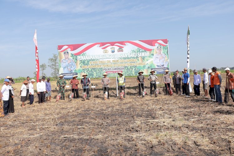 Dukung Ketahanan Pangan Nasional, Polres Lamongan Tanam Jagung di Lahan Baku Desa Kedali