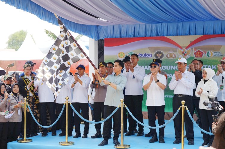 Tanam Serentak, 1.268 Ton Jagung Dilepas Polri untuk Bulog