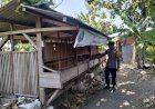 Bhabinkamtibmas-Desa-Modong-Cek-Peternakan-Kambing-Dukung-Ketahanan-Pangan-Polresta-Sidoarjo