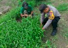 Siap-Panen-Kangkung,-Bhabinkamtibmas-bersama-Warga-Optimis-Wujudkan-Ketahanan-Pangan