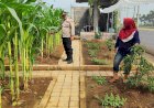 Polisi-Sambangi-Lahan-Jagung-Desa-Randegan,-Ajak-Petani-Dongkrak-Swasembada-Pangan