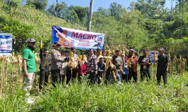 Polres-Pacitan-Genjot-Produktivitas-Jagung-di-Bandar,-Dampingi-Petani-dan-Evaluasi-Kualitas-Benih